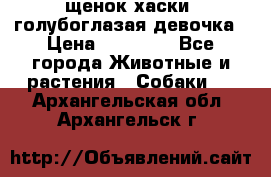 щенок хаски  голубоглазая девочка › Цена ­ 12 000 - Все города Животные и растения » Собаки   . Архангельская обл.,Архангельск г.